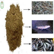 Polvo de proteína de harina de pescado Alimentación animal de alta calidad